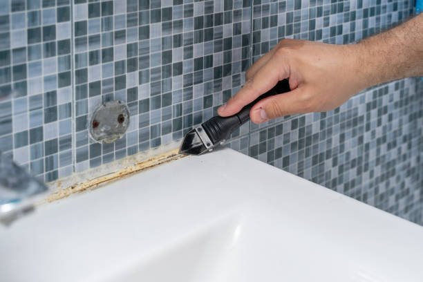 Best Mold Removal Near Me  in Bay Springs, MS